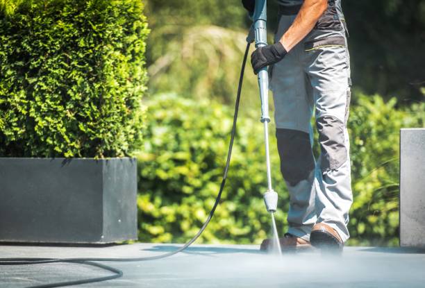 Animal Enclosure Cleaning in Montevideo, MN