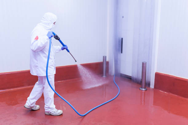 Best Paint Preparation  in Montevideo, MN